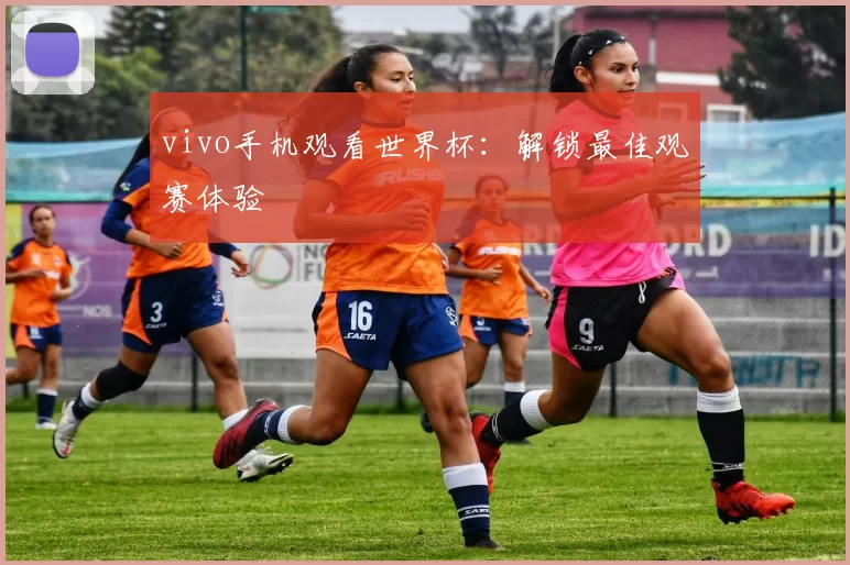 vivo手机观看世界杯：解锁最佳观赛体验