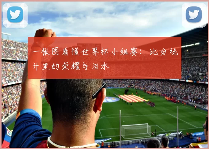 一张图看懂世界杯小组赛:比分统计里的荣耀与泪水