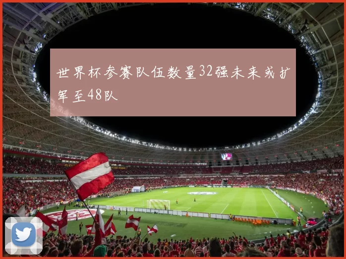 世界杯参赛队伍数量32强未来或扩军至48队