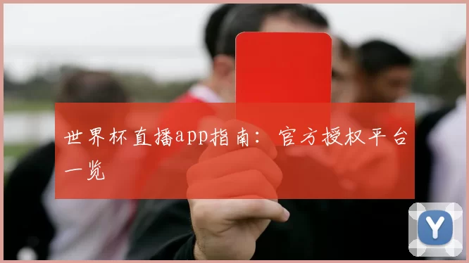 世界杯直播app指南：官方授权平台一览