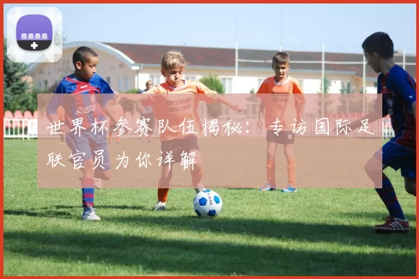 世界杯参赛队伍揭秘:专访国际足联官员为你详解