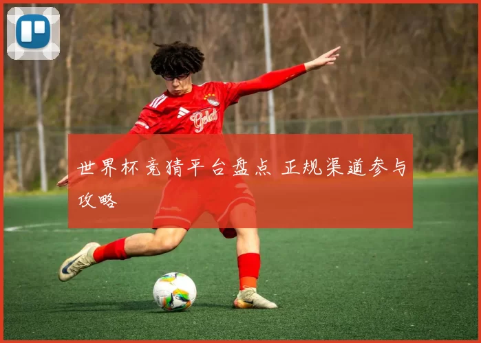 世界杯竞猜平台盘点 正规渠道参与攻略
