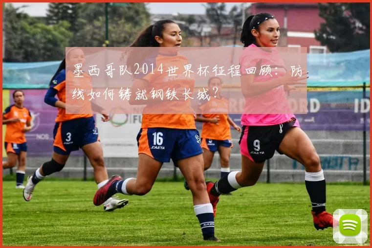 墨西哥队2014世界杯征程回顾:防线如何铸就钢铁长城?