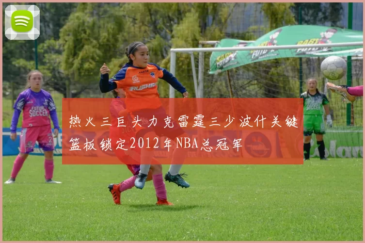 热火三巨头力克雷霆三少波什关键篮板锁定2012年NBA总冠军