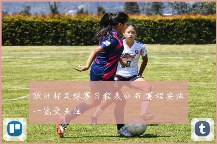 欧洲杯足球赛日程表公布 赛程安排一览受关注