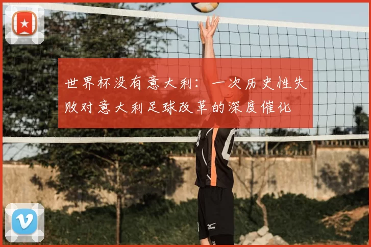 世界杯没有意大利:一次历史性失败对意大利足球改革的深度催化