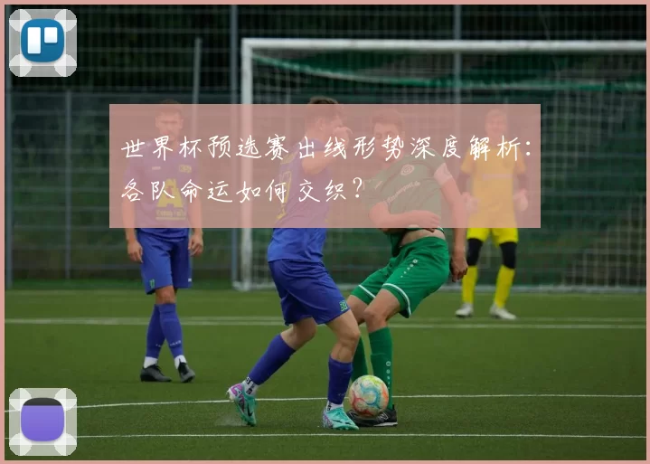 世界杯预选赛出线形势深度解析:各队命运如何交织?