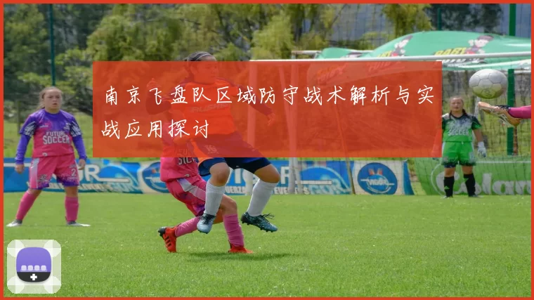 南京飞盘队区域防守战术解析与实战应用探讨
