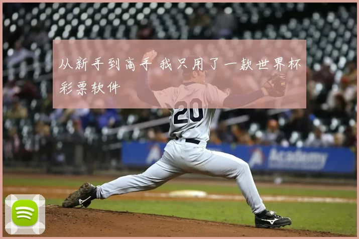 从新手到高手 我只用了一款世界杯彩票软件
