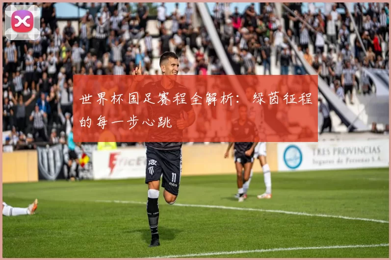 世界杯国足赛程全解析:绿茵征程的每一步心跳