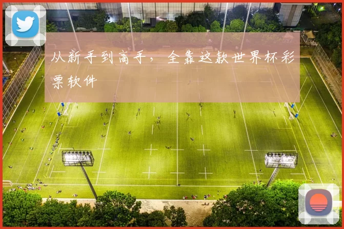 从新手到高手，全靠这款世界杯彩票软件