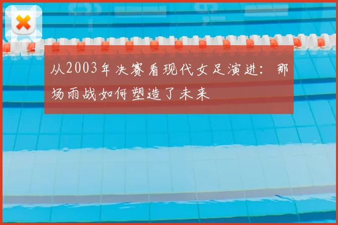 从2003年决赛看现代女足演进：那场雨战如何塑造了未来